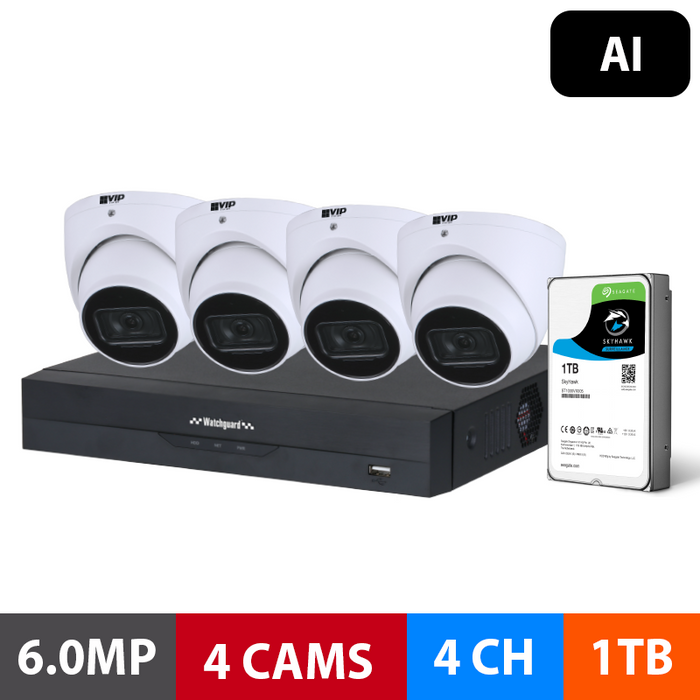 G Series 4 Camera 6.0MP AI Surveillance Kit (Fixed, 1TB)