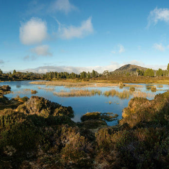 How Tasmania is Helping Residents Save Energy and Cut Costs