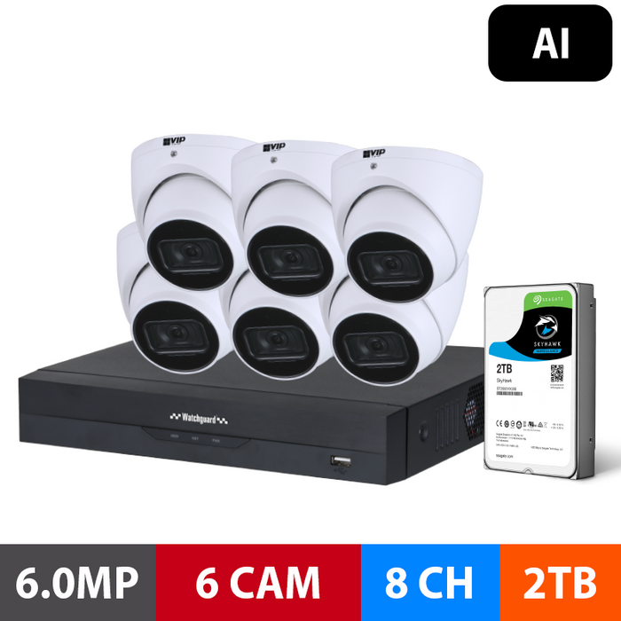 G Series 6 Camera 6.0MP AI Surveillance Kit (Fixed, 2TB)