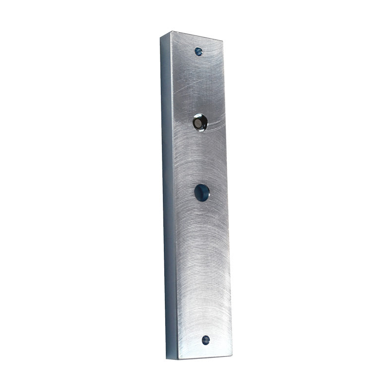 Outdoor Surface-Mount Magnet Lock with Sensor